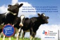 National Dairy Month 2018